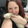 the.rayne .ferrets 1615909553104 (1)