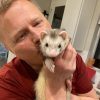 the.rayne .ferrets 1615909622372